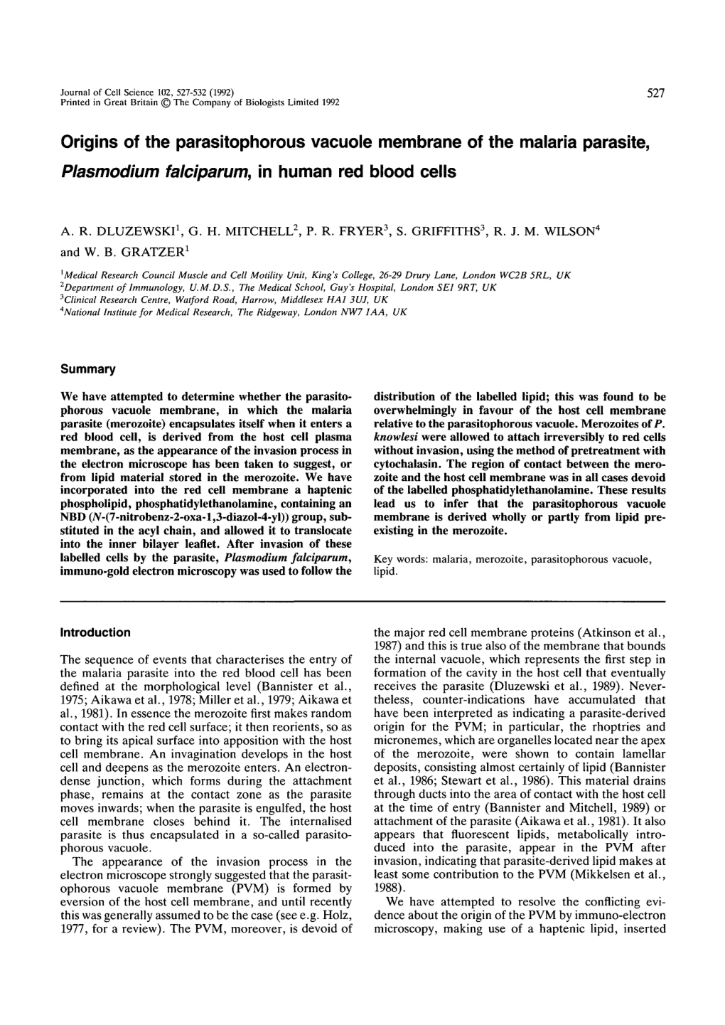 Origins of the Parasitophorous Vacuole Membrane of the Malaria Parasite, Plasmodium Falciparum, in Human Red Blood Cells