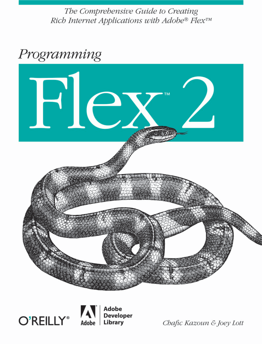 Programming Flex 2™ by Chafic Kazoun and Joey Lott