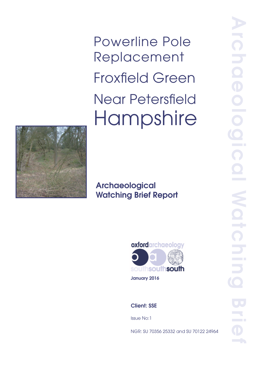 Powerline Pole Replacement, Froxfield Green, Near Petersfield, Hampshire