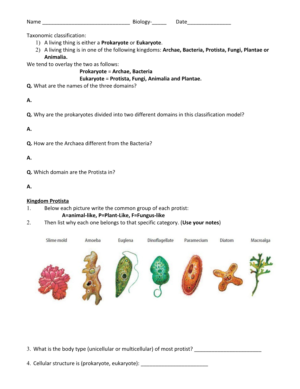 PROTIST and FUNGI WORKSHEET Name ______ Pd_____