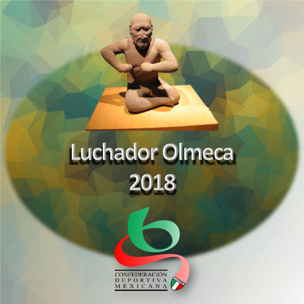 Premio Luchador Olmeca 2018