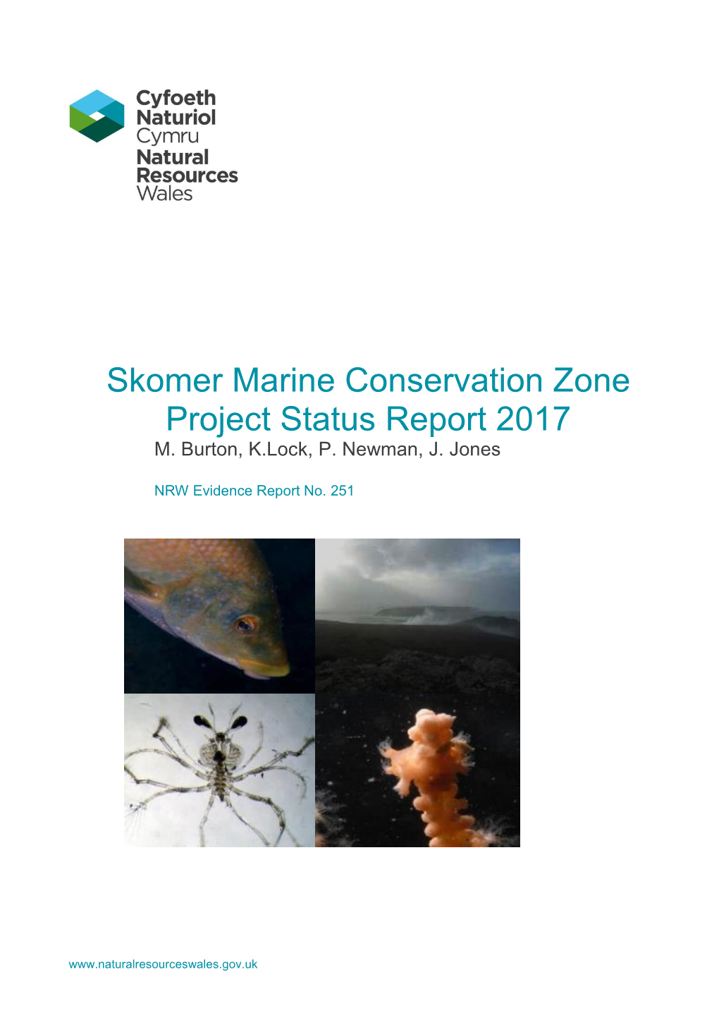 Skomer Marine Conservation Zone Project Status Report 2017 M