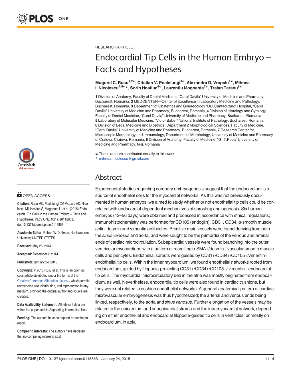 Endocardial Tip Cells in the Human Embryo – Facts and Hypotheses