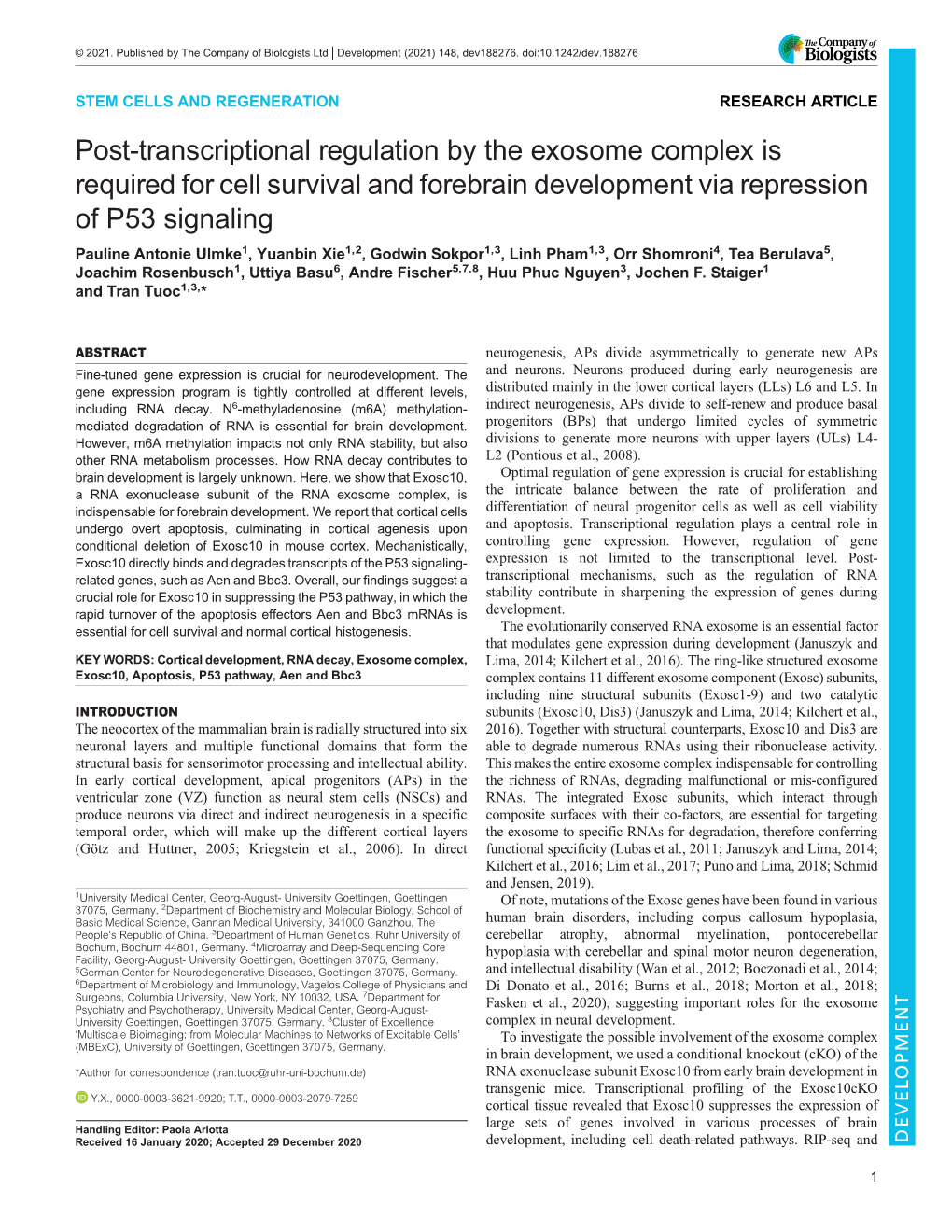 Post-Transcriptional Regulation by the Exosome Complex Is Required for Cell Survival and Forebrain Development Via Repression Of