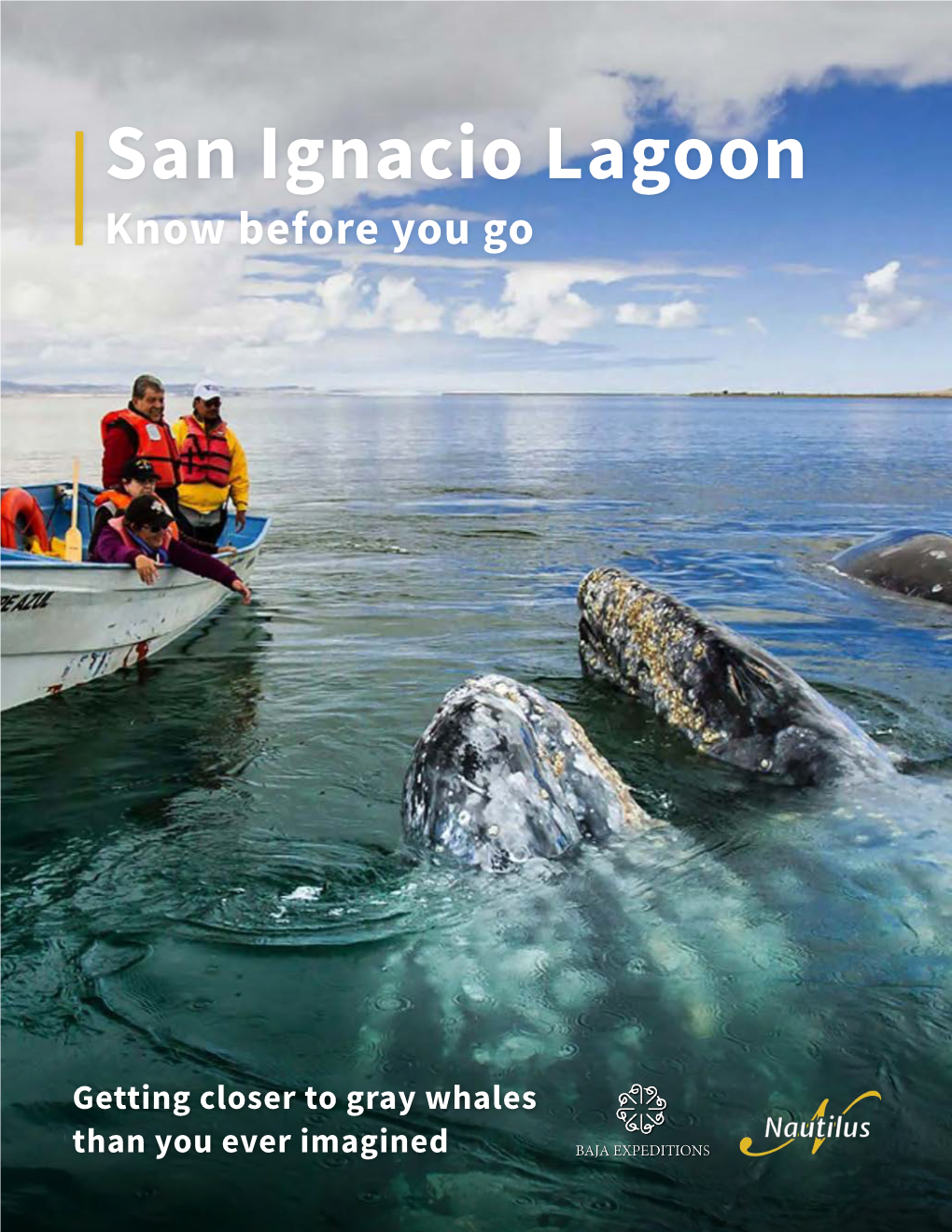 San Ignacio Lagoon Know Before You Go