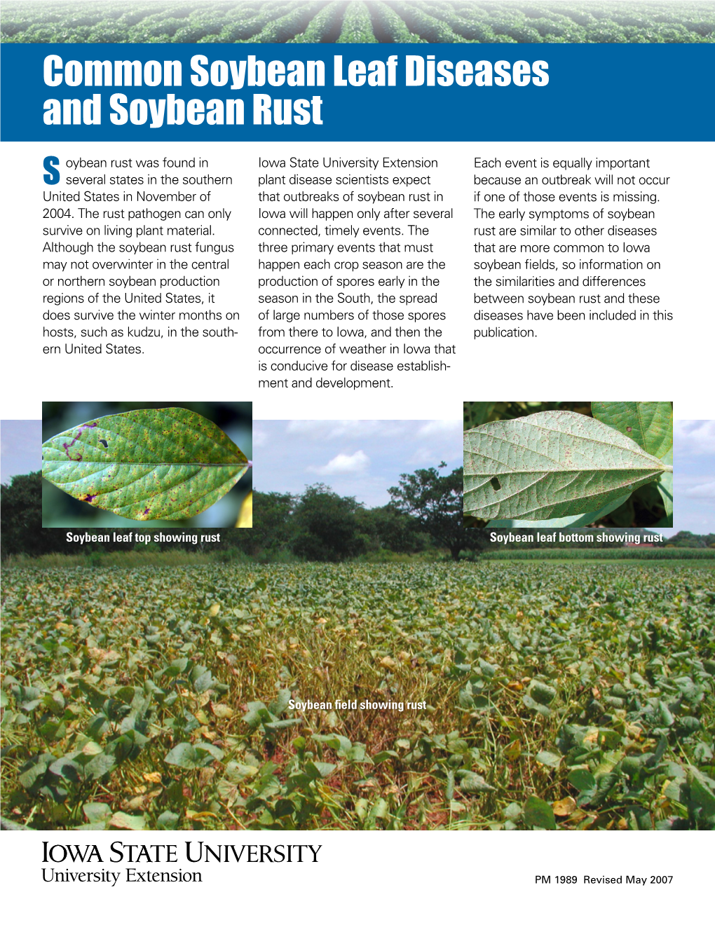 Common Soybean Leaf Diseases and Soybean Rust