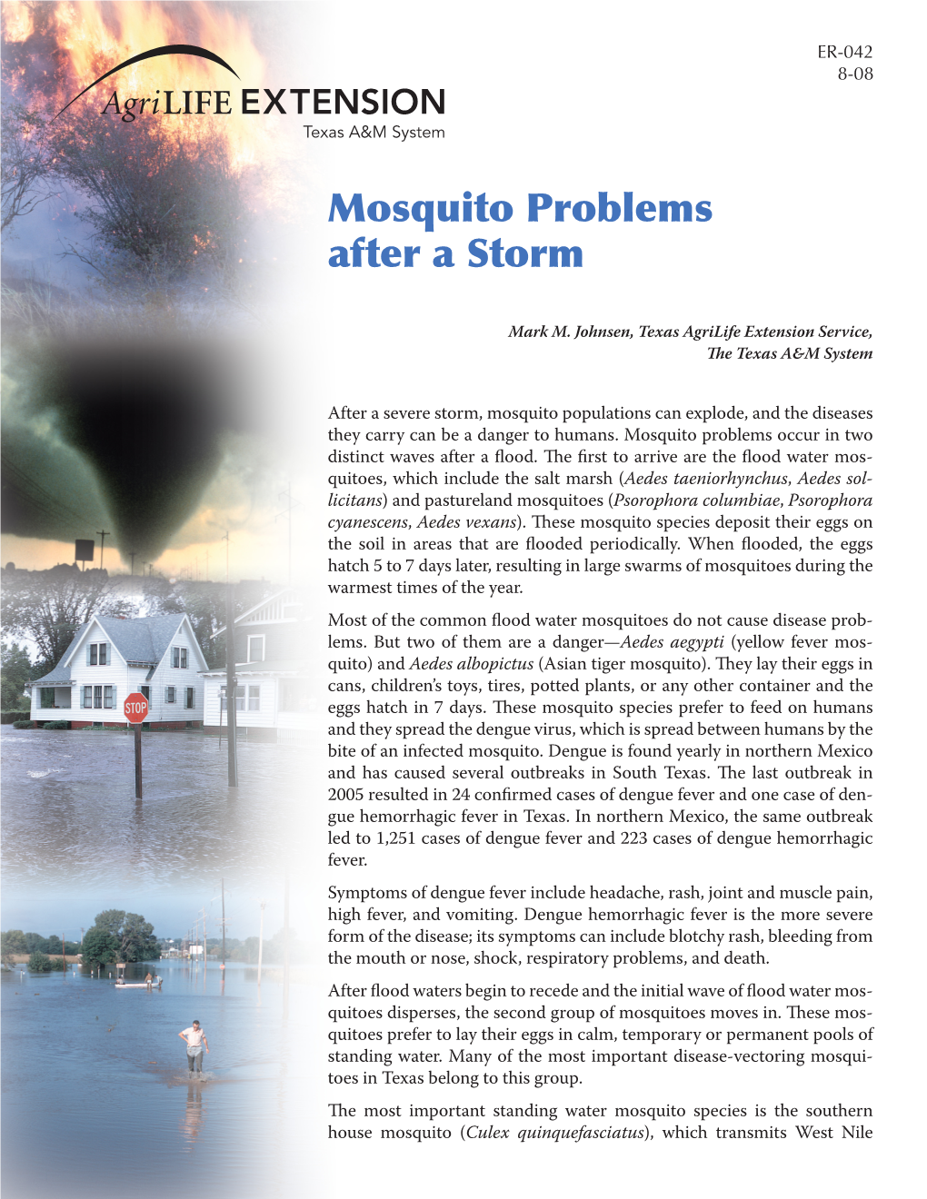 Mosquito Problems After a Storm