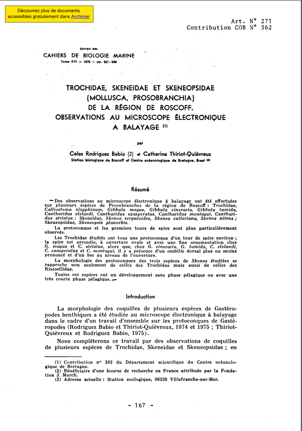 Trochidae, Skeneidae Et Skenéopsidae