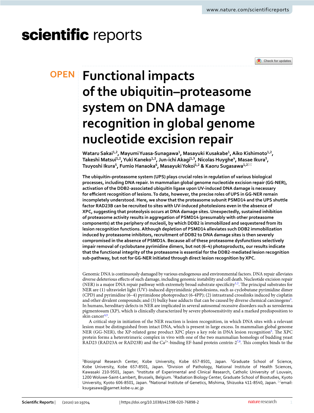 Functional Impacts of the Ubiquitin–Proteasome System on DNA