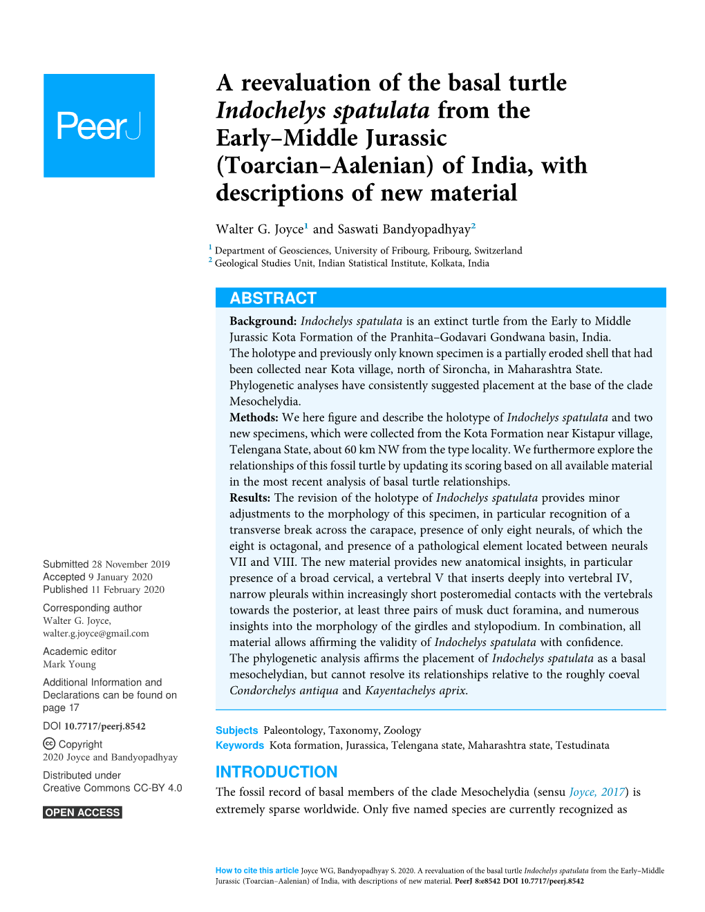 Middle Jurassic (Toarcian–Aalenian) of India, with Descriptions of New Material