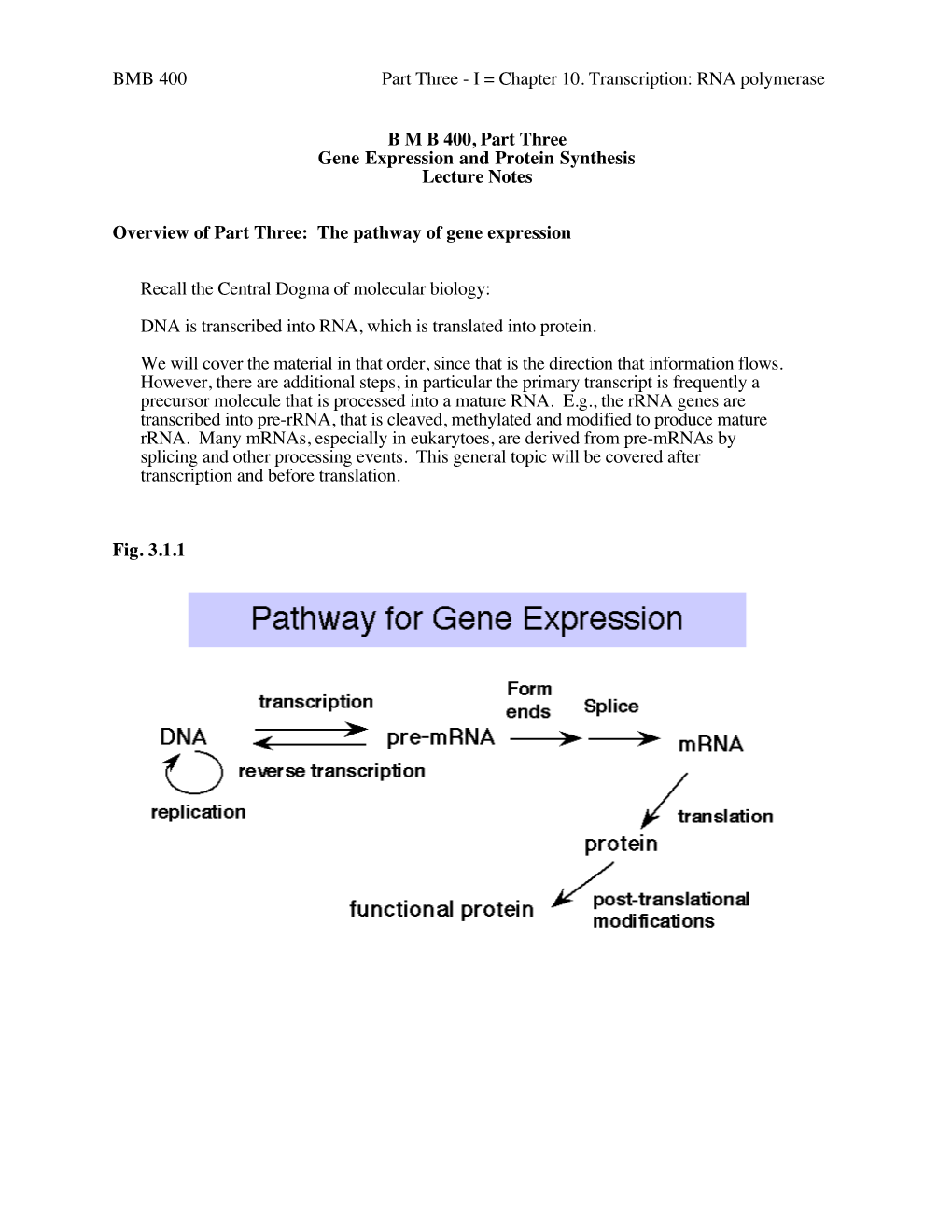 I = Chapter 10. Transcription: RNA Polymerase BMB 400, Part Three Gene Expression and Protein Synthesis L