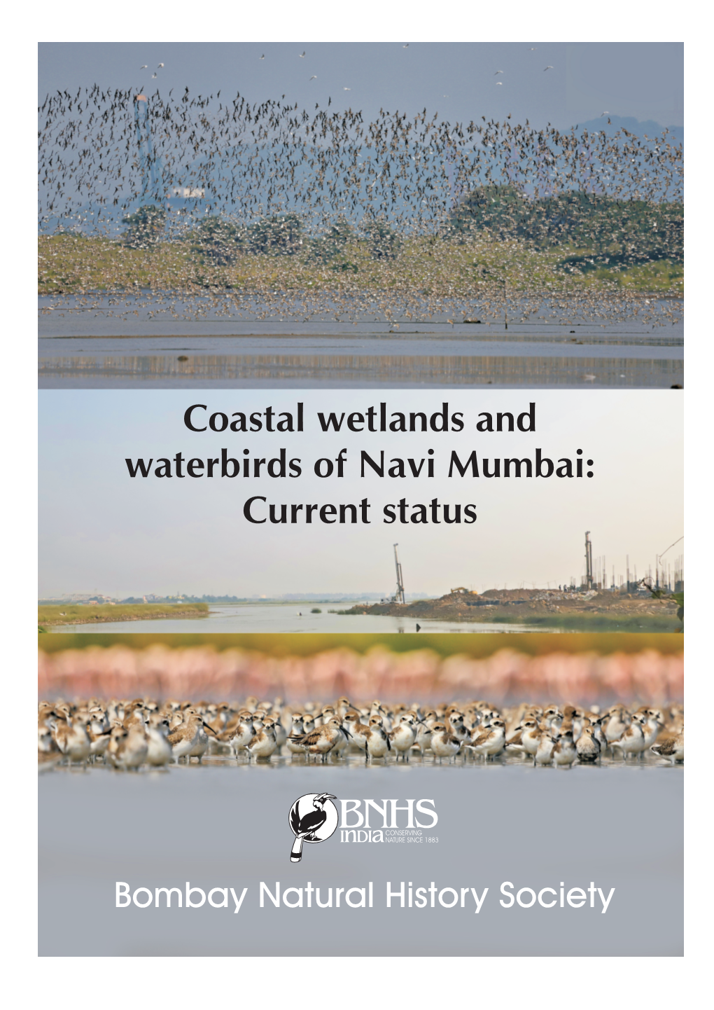 Coastal Wetlands and Waterbirds of Navi Mumbai: Current Status