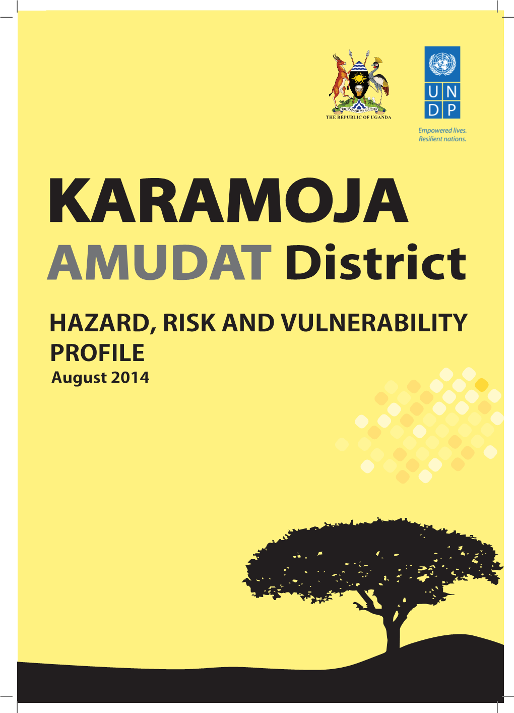 AMUDAT District