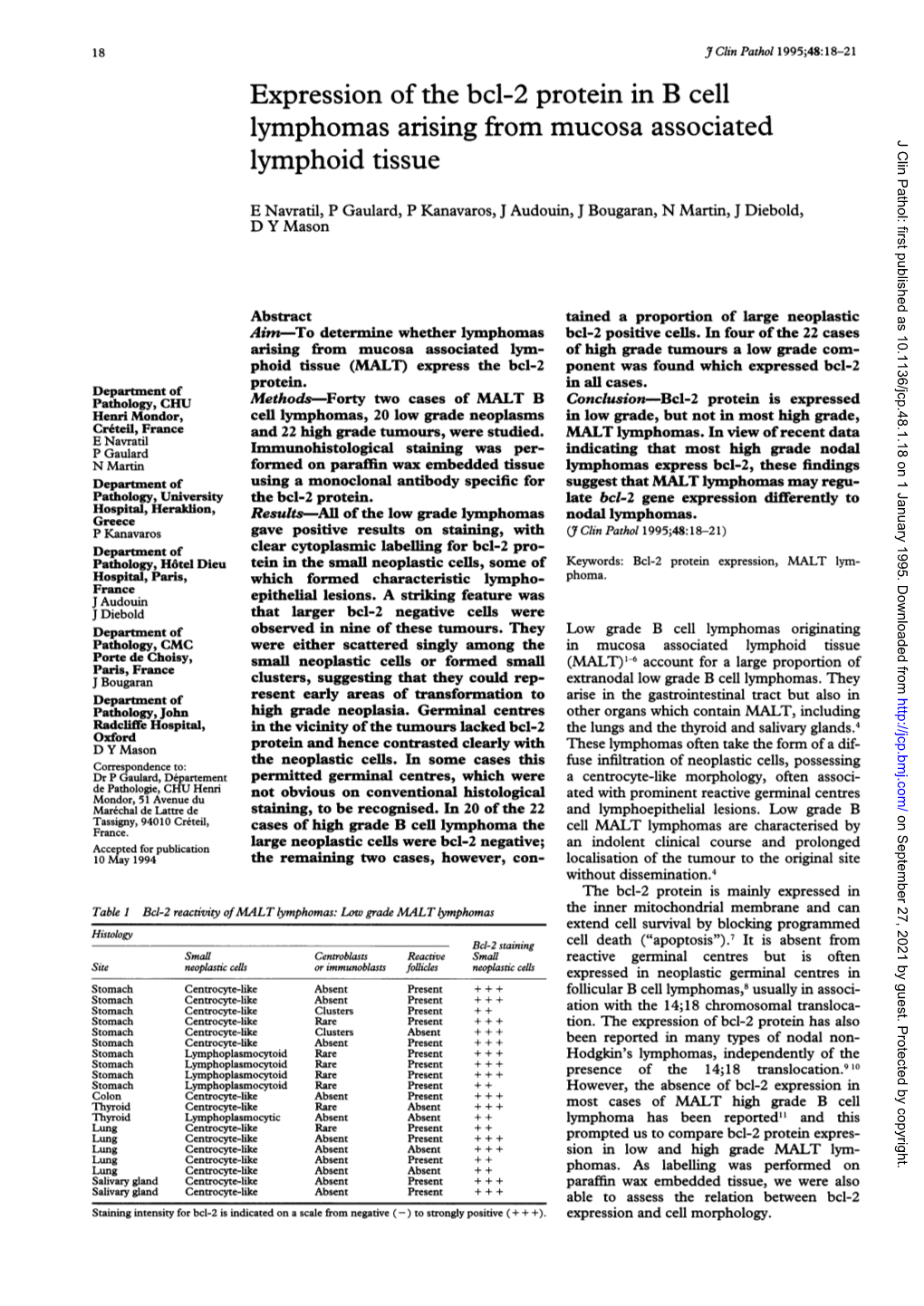 Expression of the Bcl-2 Protein in B Cell Lymphomas Arising From