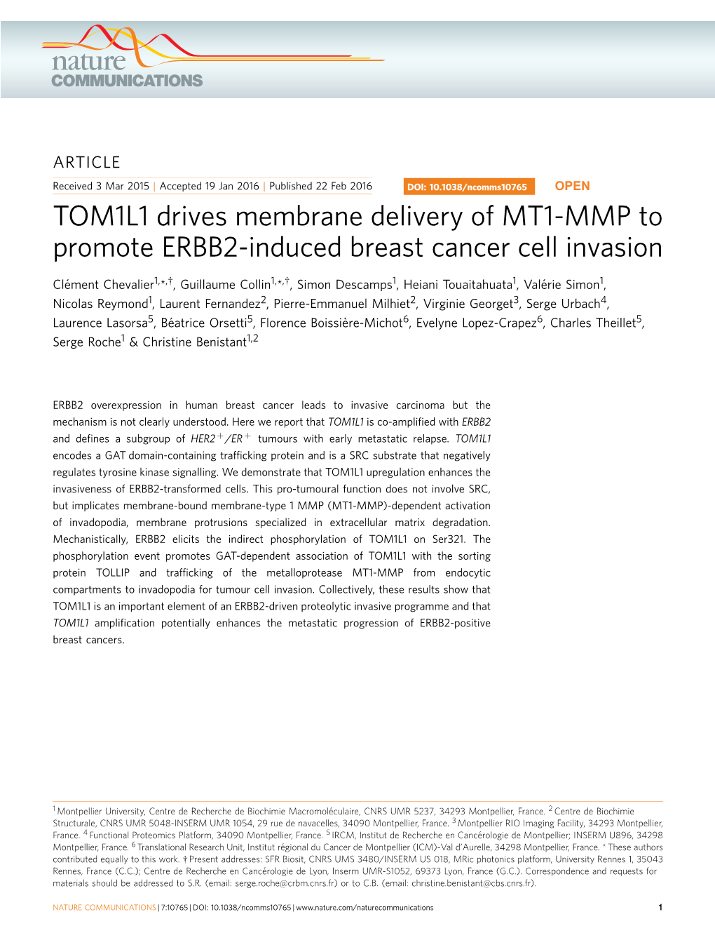 TOM1L1 Drives Membrane Delivery of MT1-MMP to Promote ERBB2-Induced Breast Cancer Cell Invasion