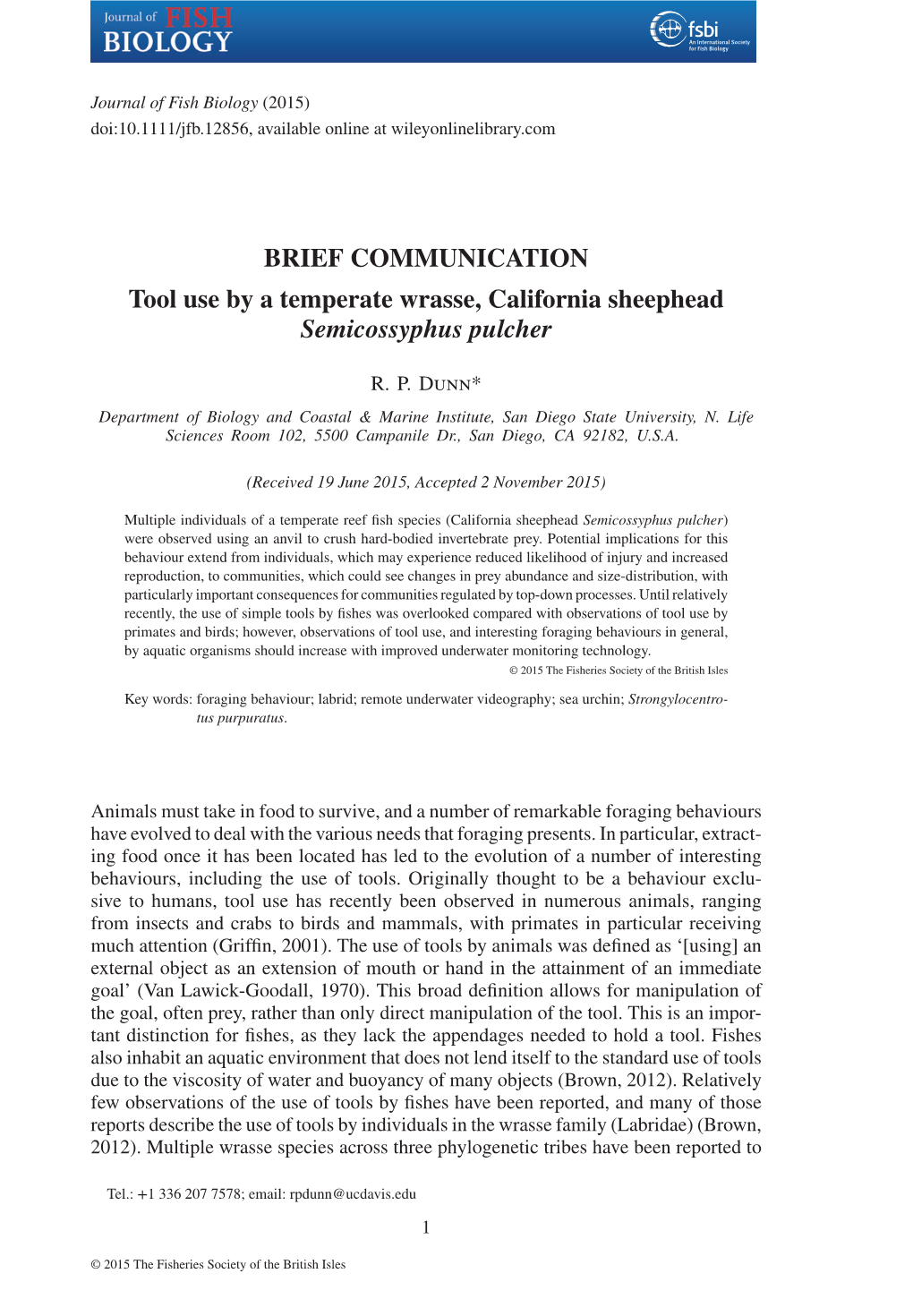 Tool Use by a Temperate Wrasse, California Sheephead Semicossyphus Pulcher