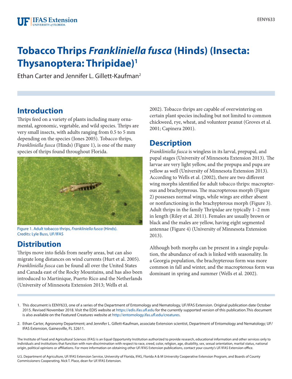 Tobacco Thrips Frankliniella Fusca (Hinds) (Insecta: Thysanoptera: Thripidae)1 Ethan Carter and Jennifer L