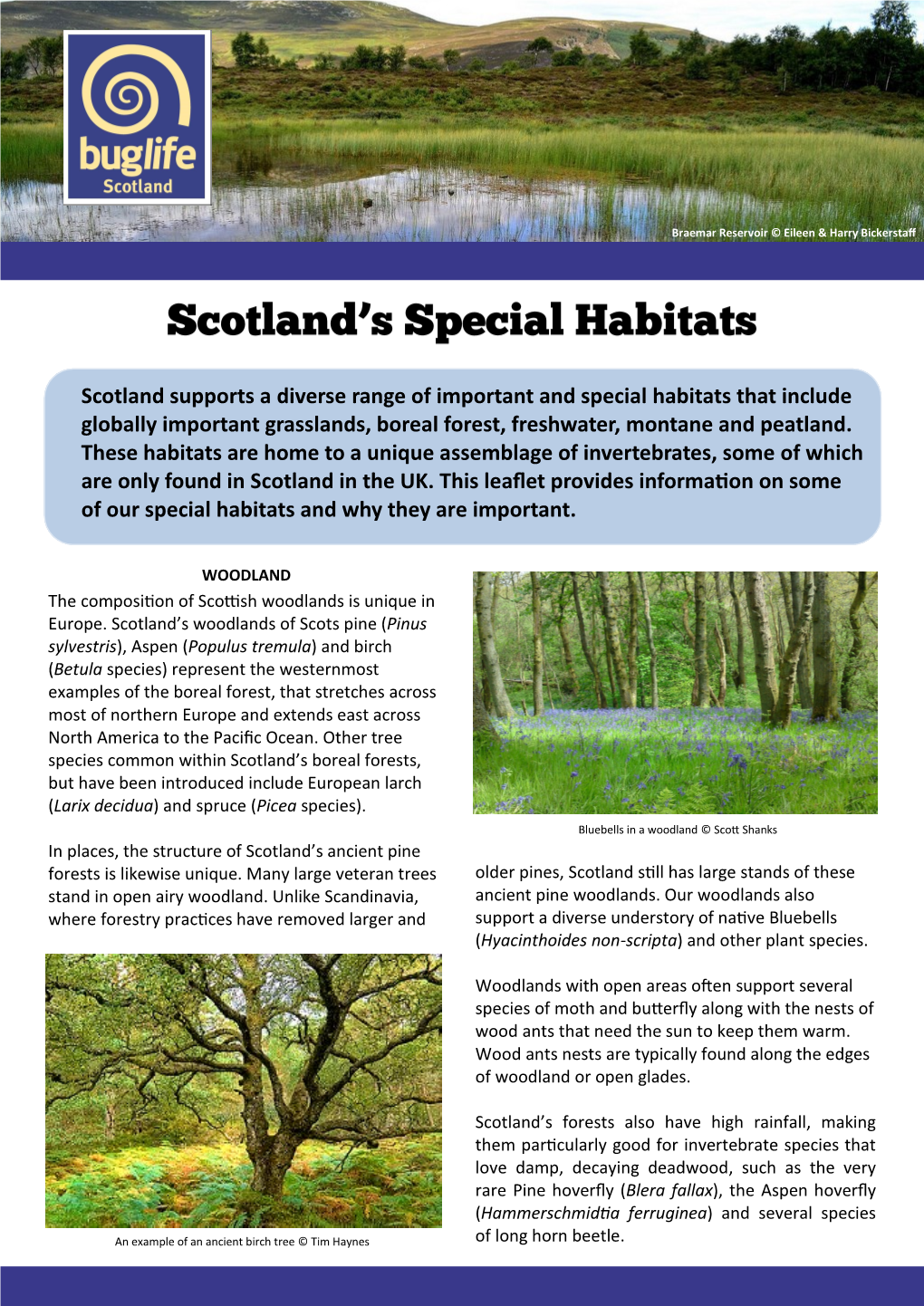 Scotland Supports a Diverse Range of Important and Special Habitats That Include Globally Important Grasslands, Boreal Forest, Freshwater, Montane and Peatland
