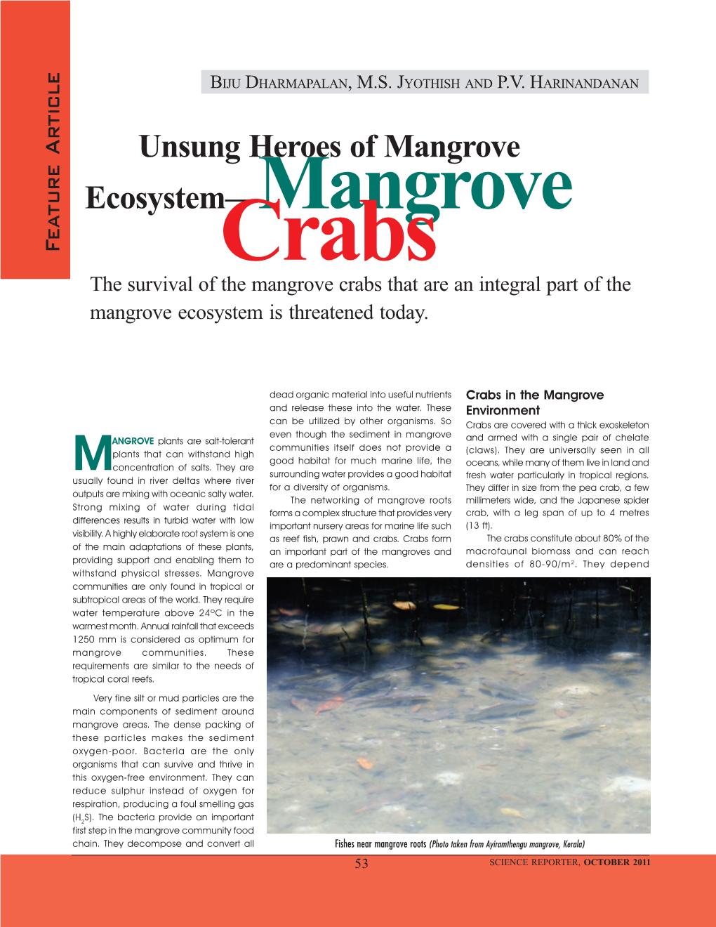 Unsung Heroes of Mangrove Ecosystem—Mangrove