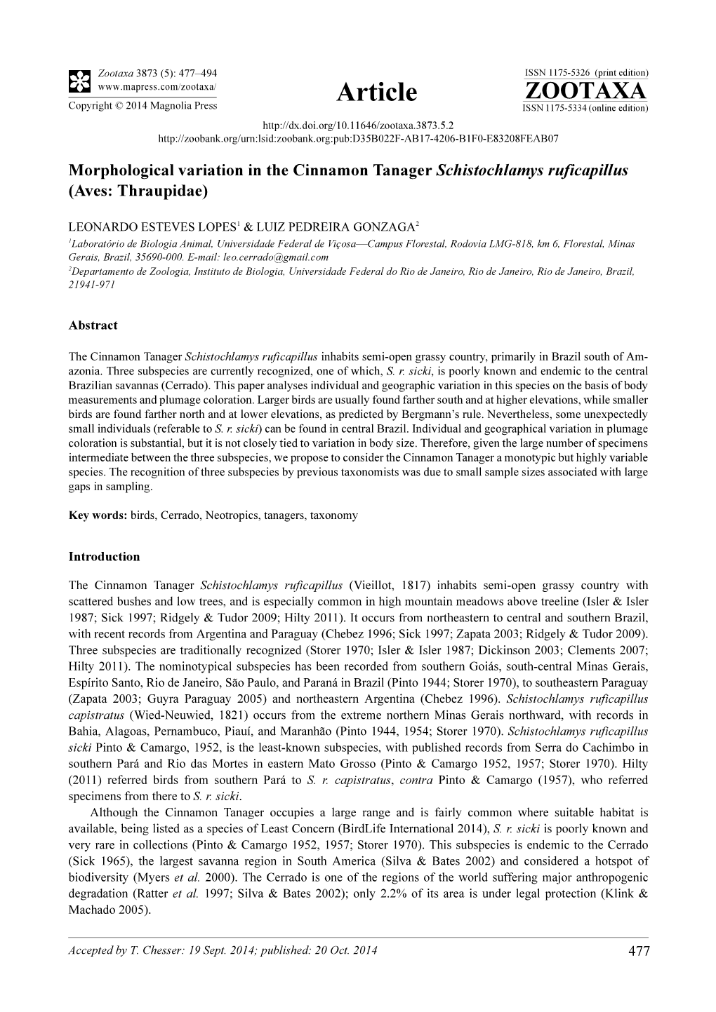 Morphological Variation in the Cinnamon Tanager Schistochlamys Ruficapillus (Aves: Thraupidae)