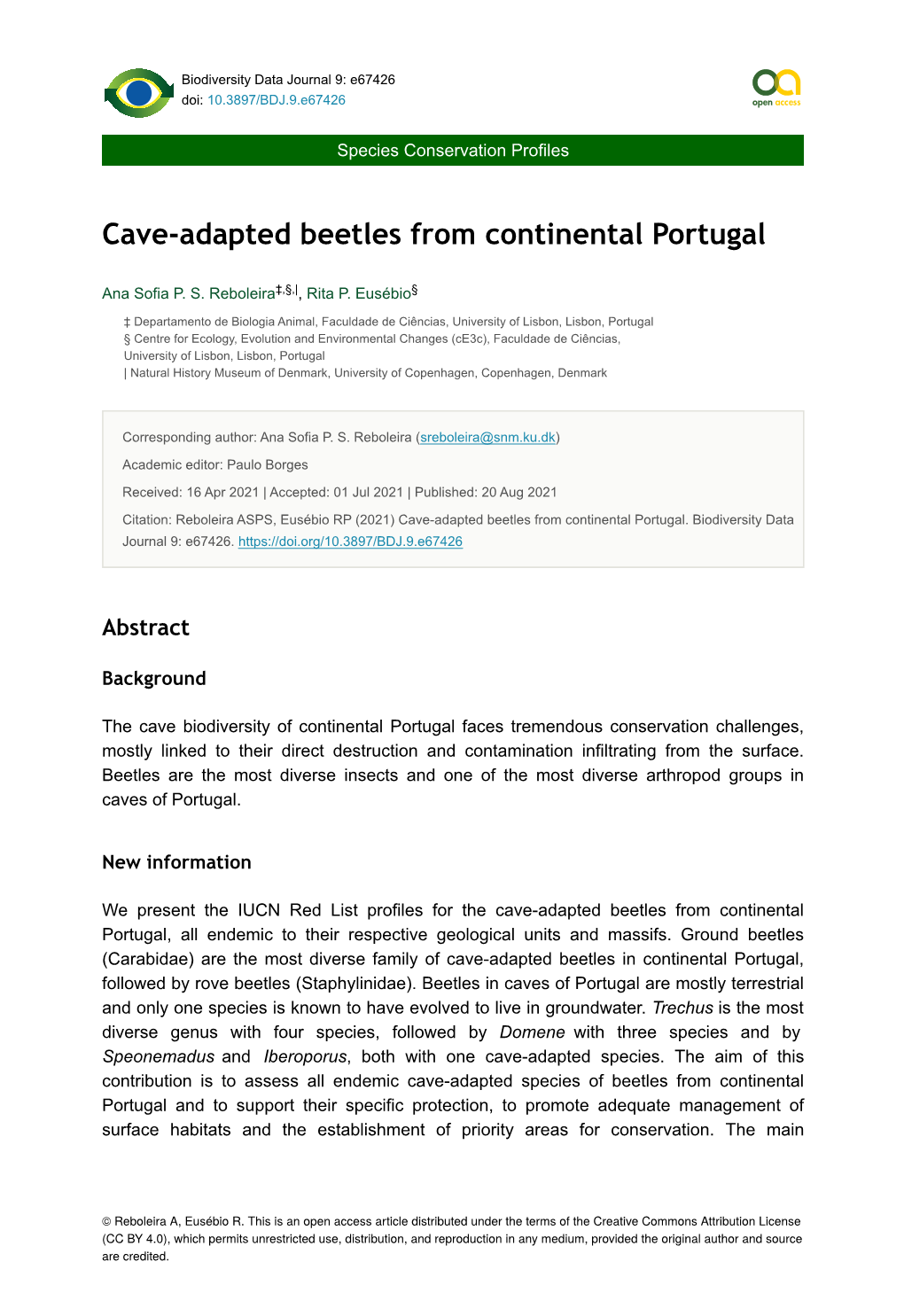 Cave-Adapted Beetles from Continental Portugal