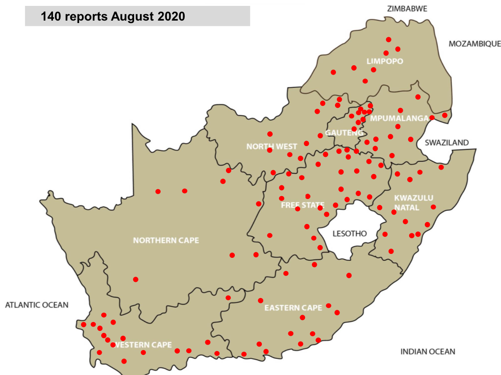 140 Reports August 2020