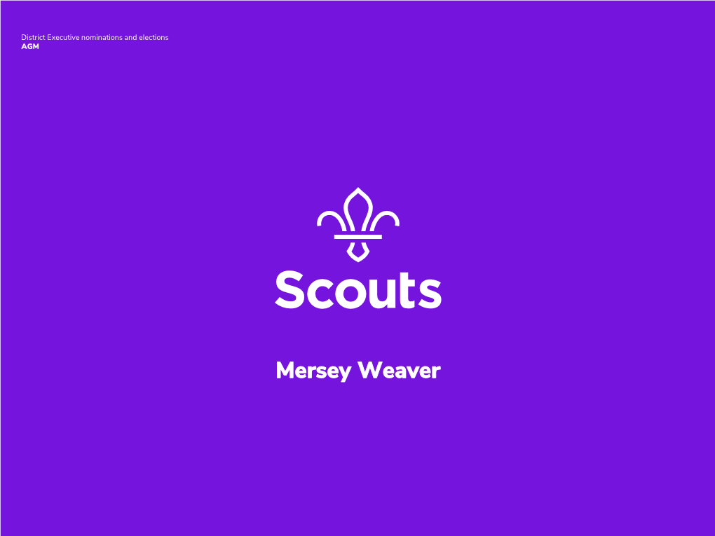 Mersey Weaver Scouts