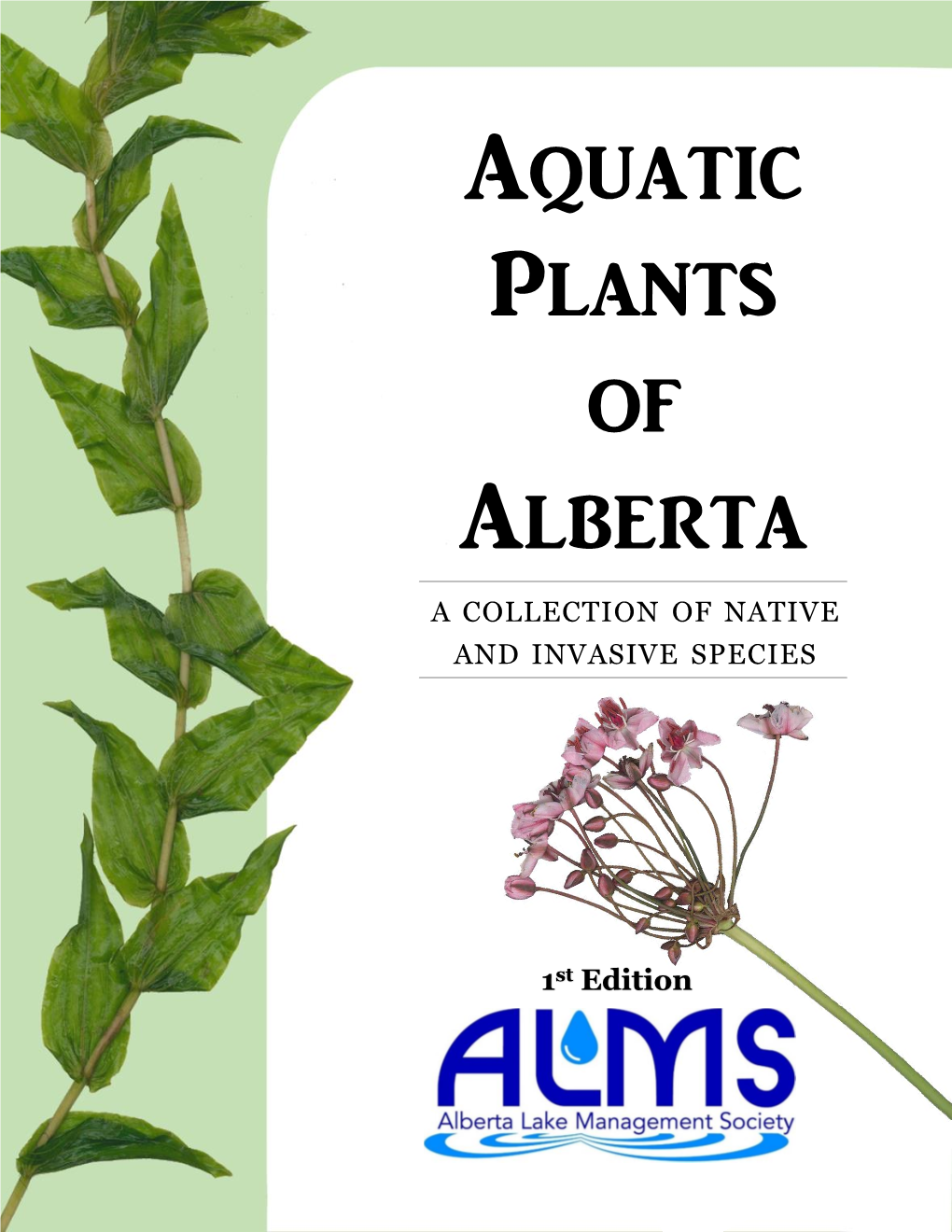 Aquatic Plants of Alberta