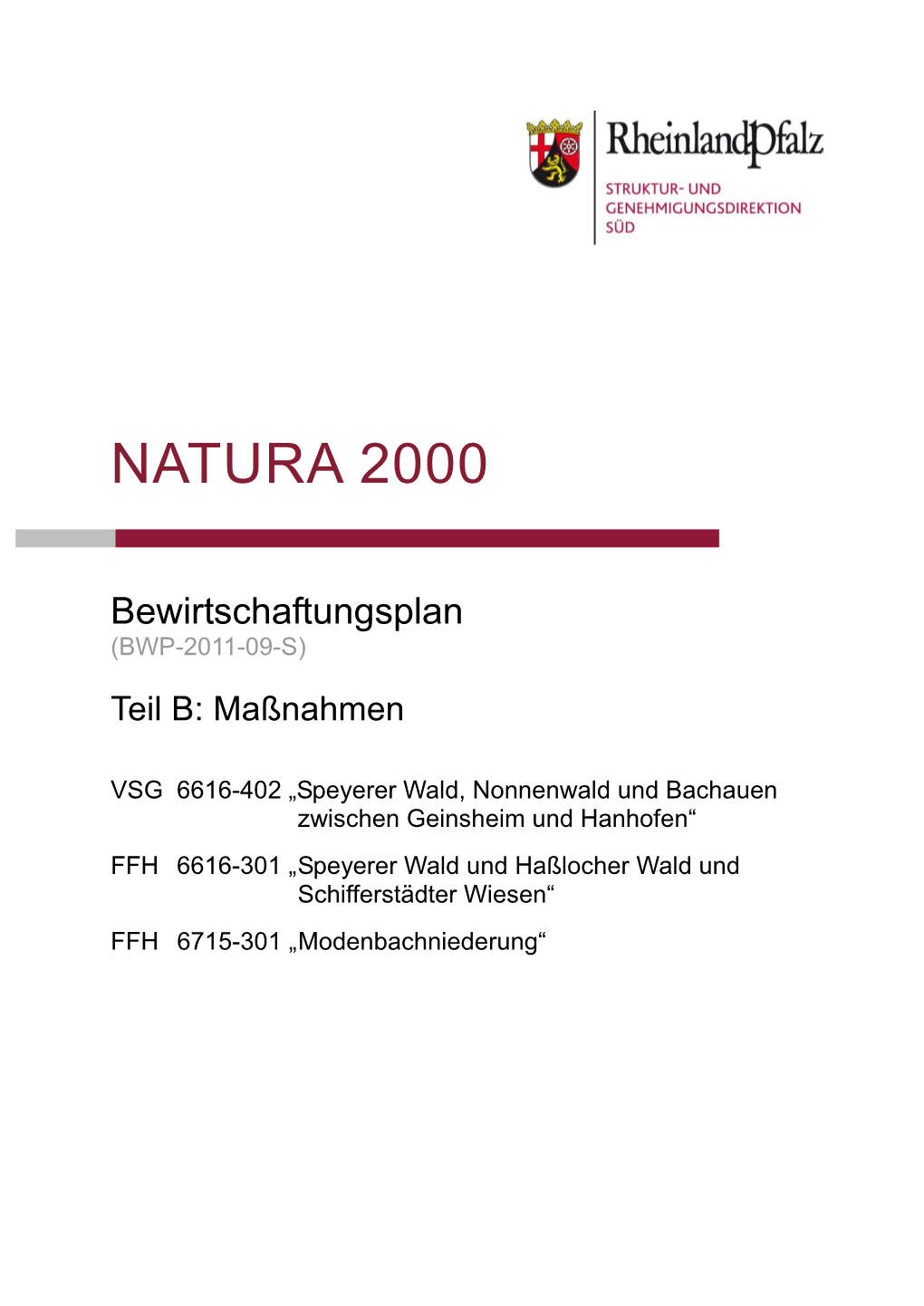 Bewirtschaftungsplan (BWP-2011-09-S) Teil B: Maßnahmen