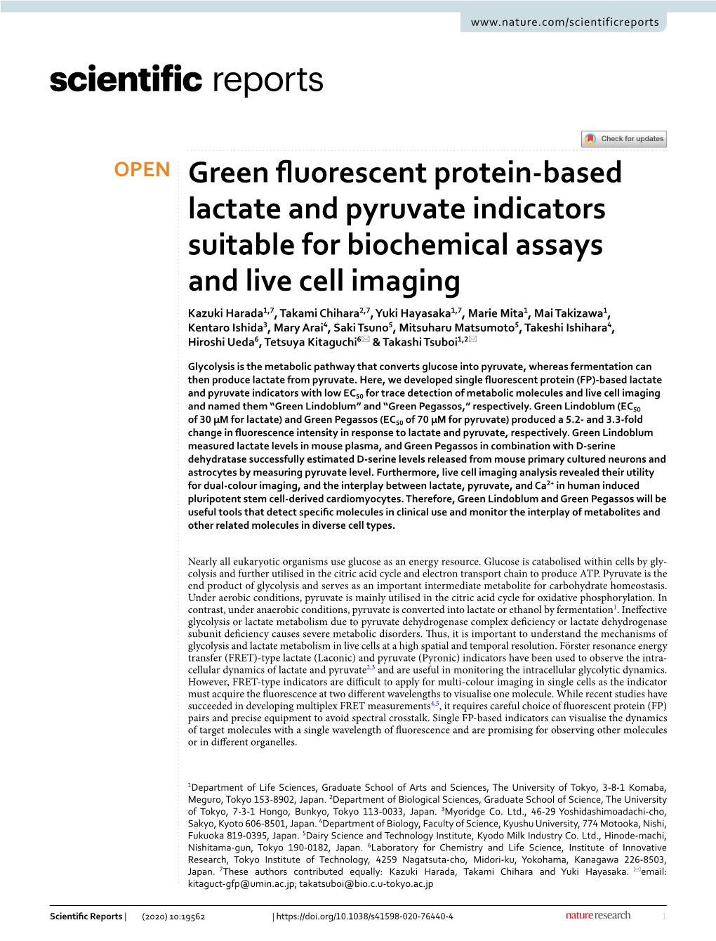 Green Fluorescent Protein-Based Lactate and Pyruvate Indicators