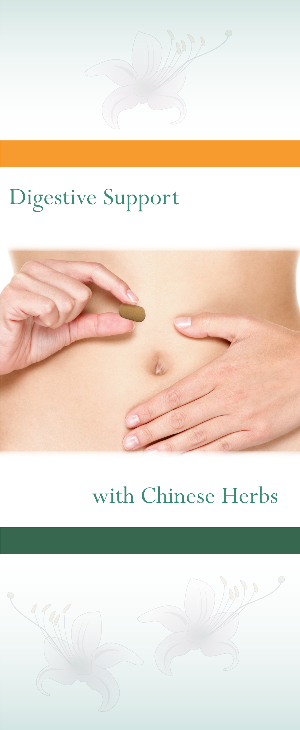 Digestive Support with Chinese Herbs