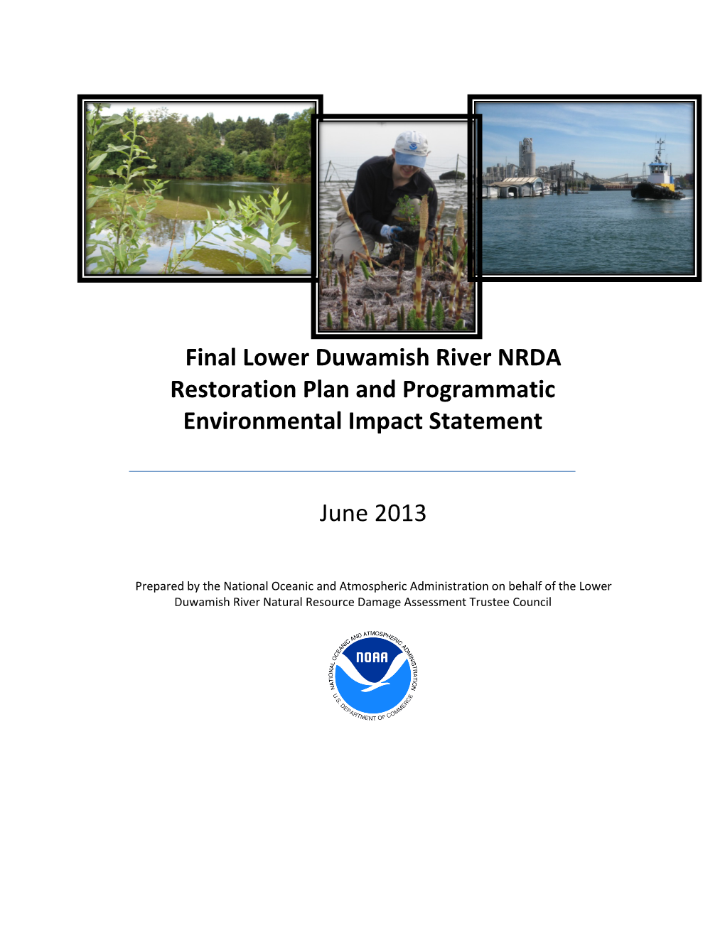 Final Lower Duwamish River NRDA Restoration Plan and Programmatic Environmental Impact Statement