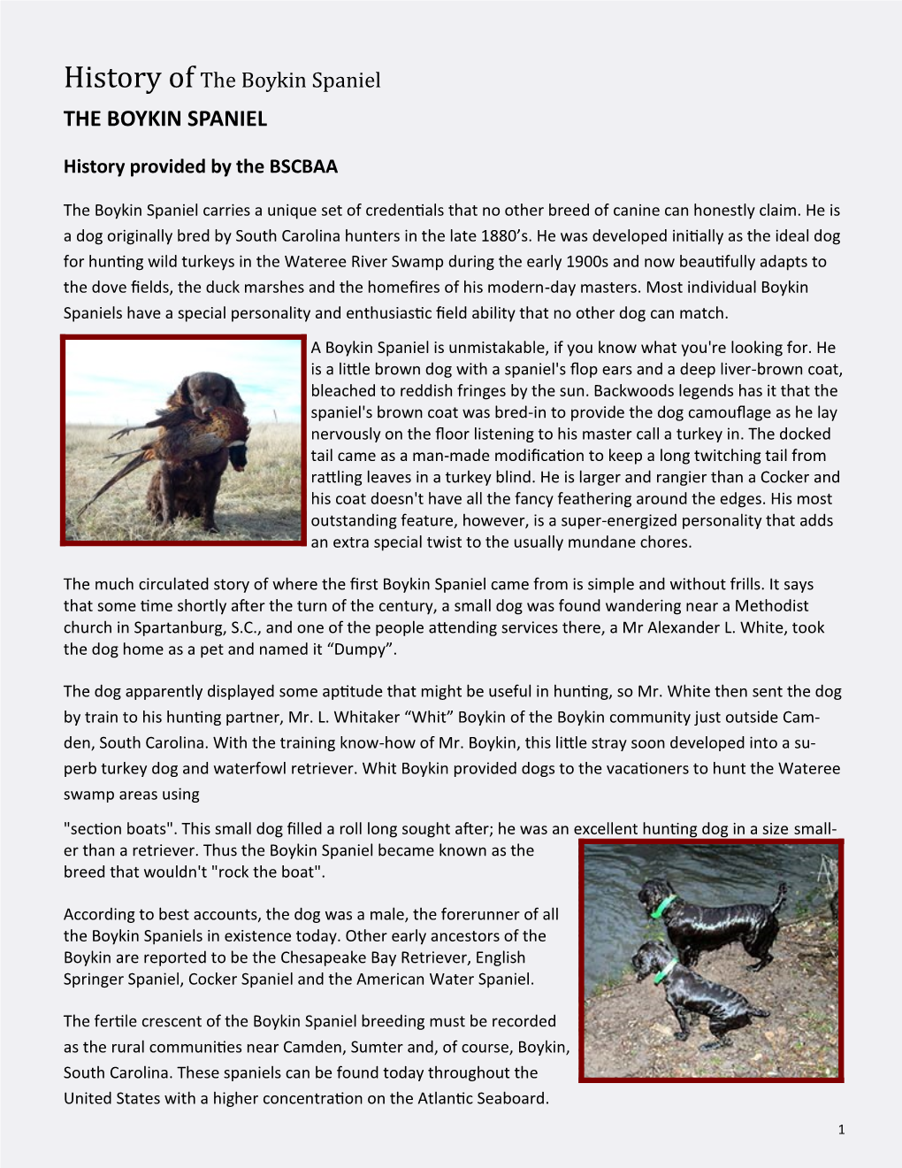 History of the Boykin Spaniel Provided by the BSCBAA