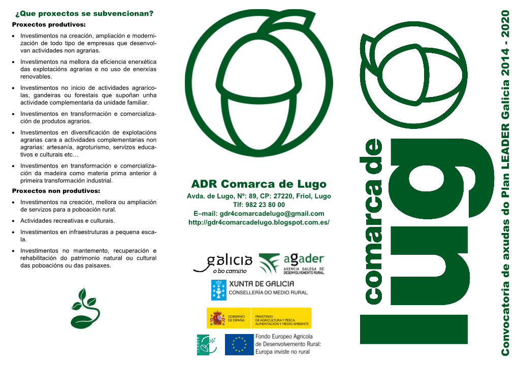 ADR Comarca De Lugo Proxectos Non Produtivos: Avda