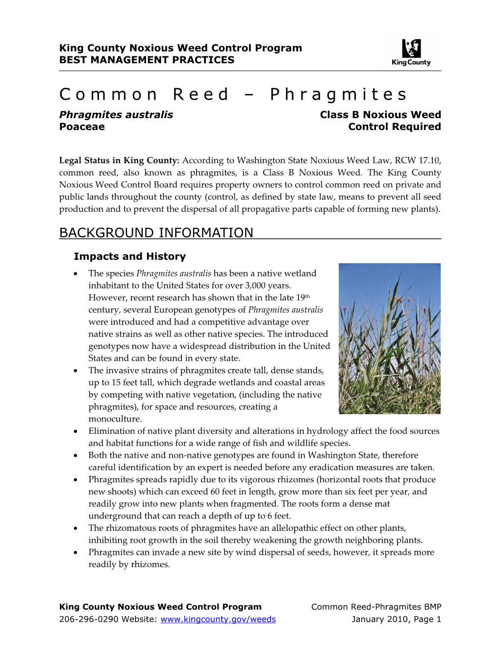 King County Best Management Practices for Common Reed