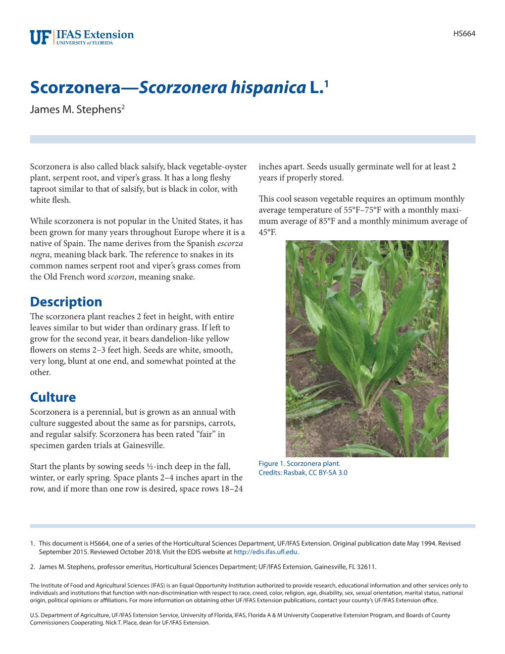 Scorzonera—Scorzonera Hispanica L.1 James M