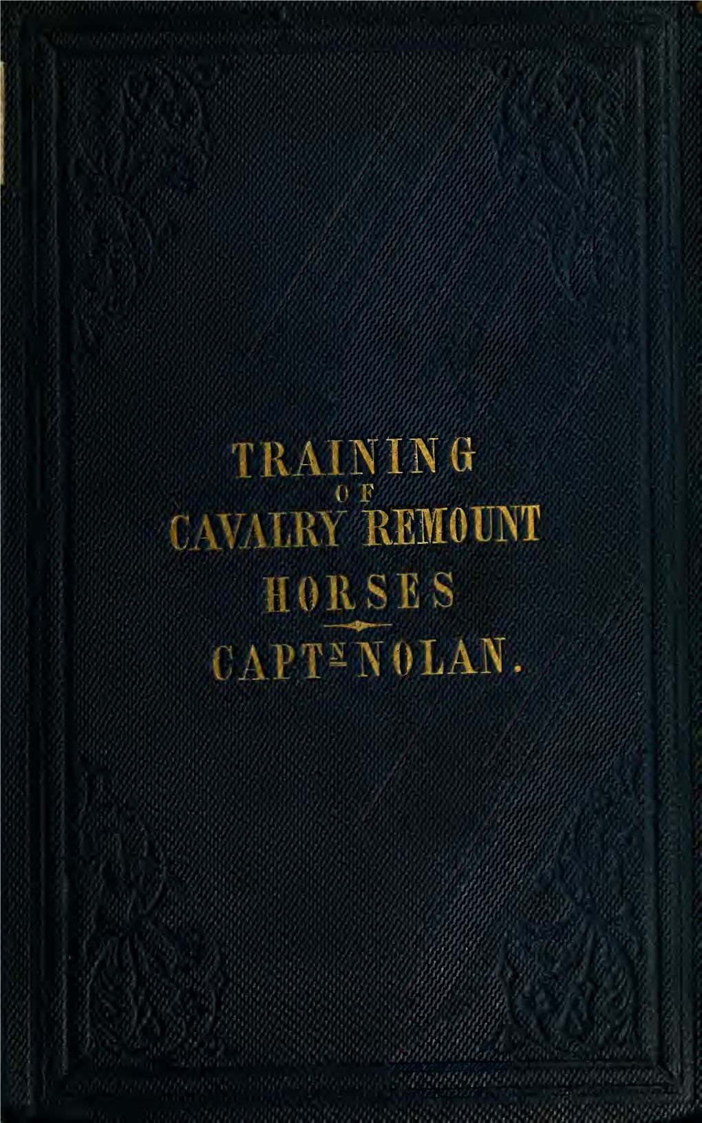 The Training of Cavalry Remount Horses