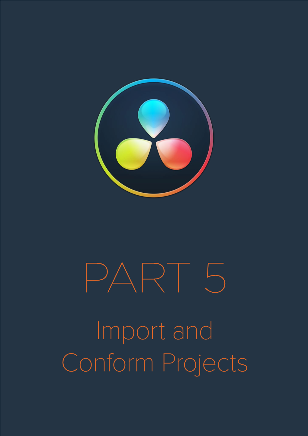 Import and Conform Projects Chapter 38 Preparing Timelines for Davinci Resolve Import