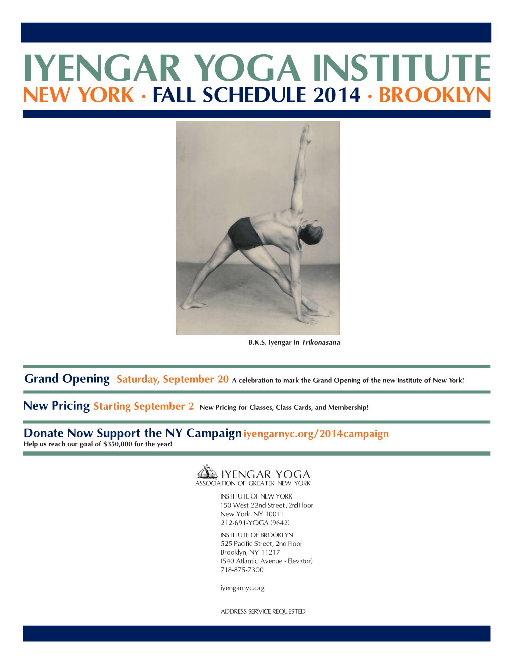 Iyengar Yoga Institute New York