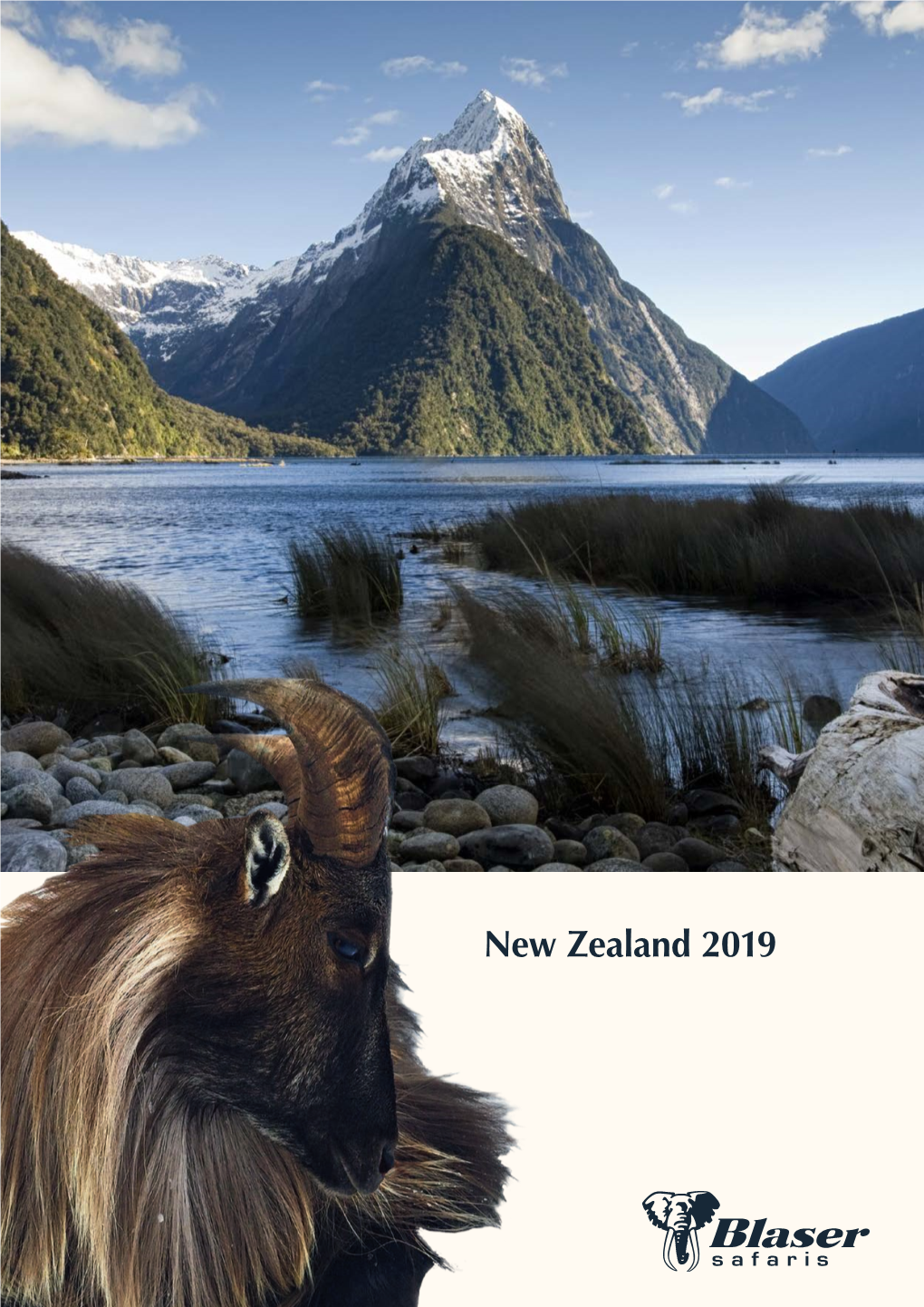 Engl New Zealand 2019