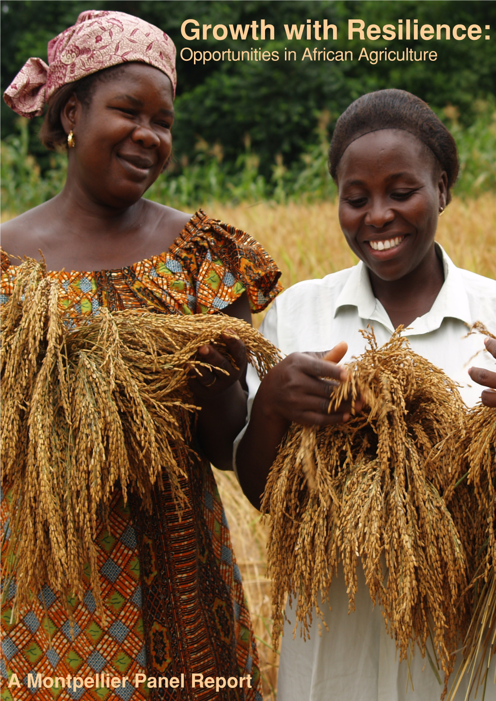 Growth with Resilience: Opportunities in African Agriculture