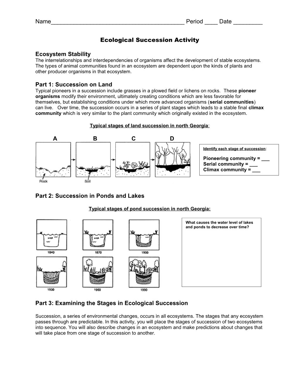 Ecological Succession Activity