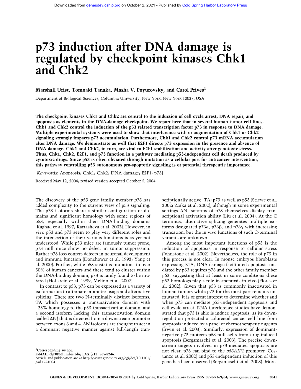 P73 Induction After DNA Damage Is Regulated by Checkpoint Kinases Chk1 and Chk2