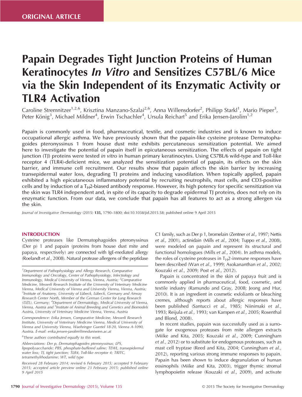 Papain Degrades Tight Junction Proteins of Human Keratinocytes In