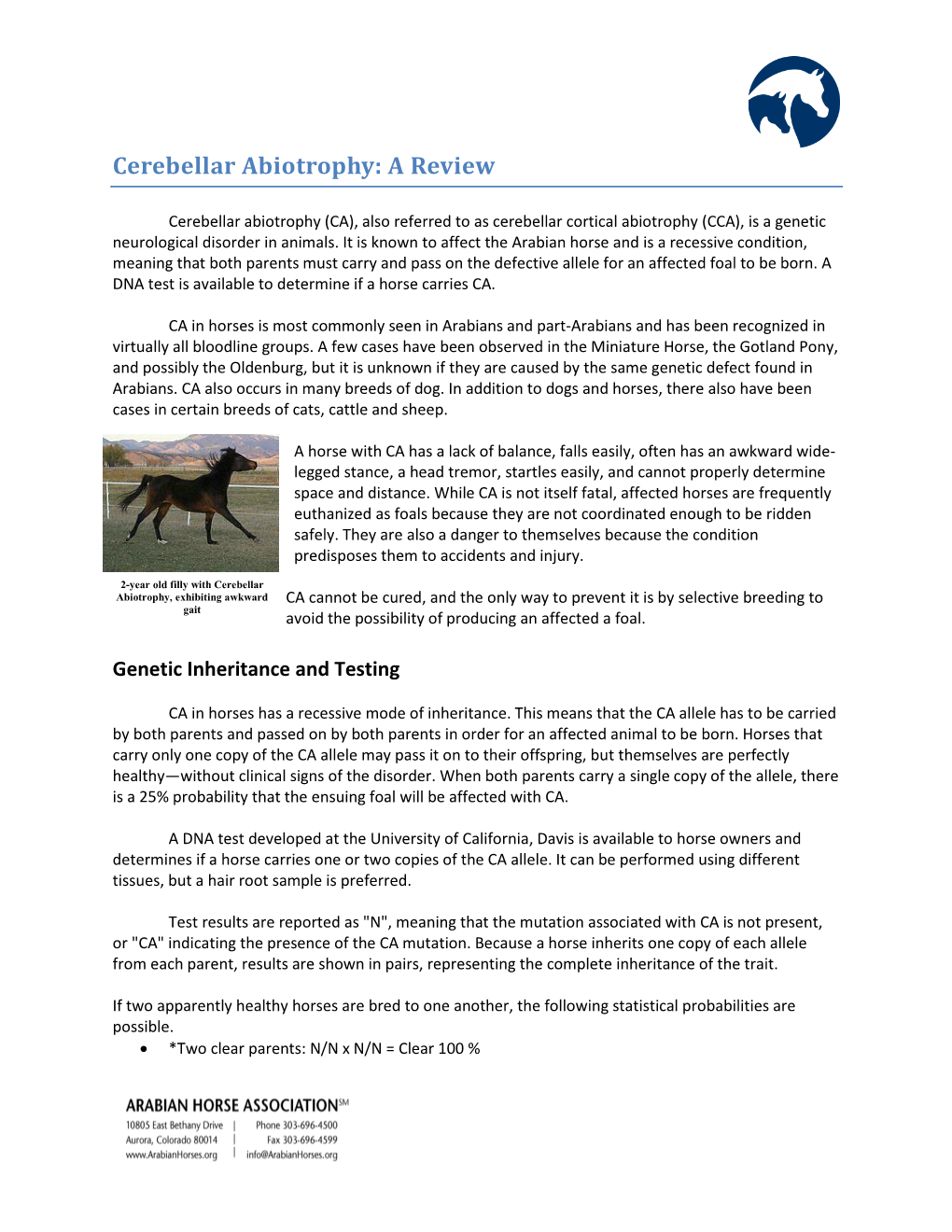 Cerebellar Abiotrophy: a Review