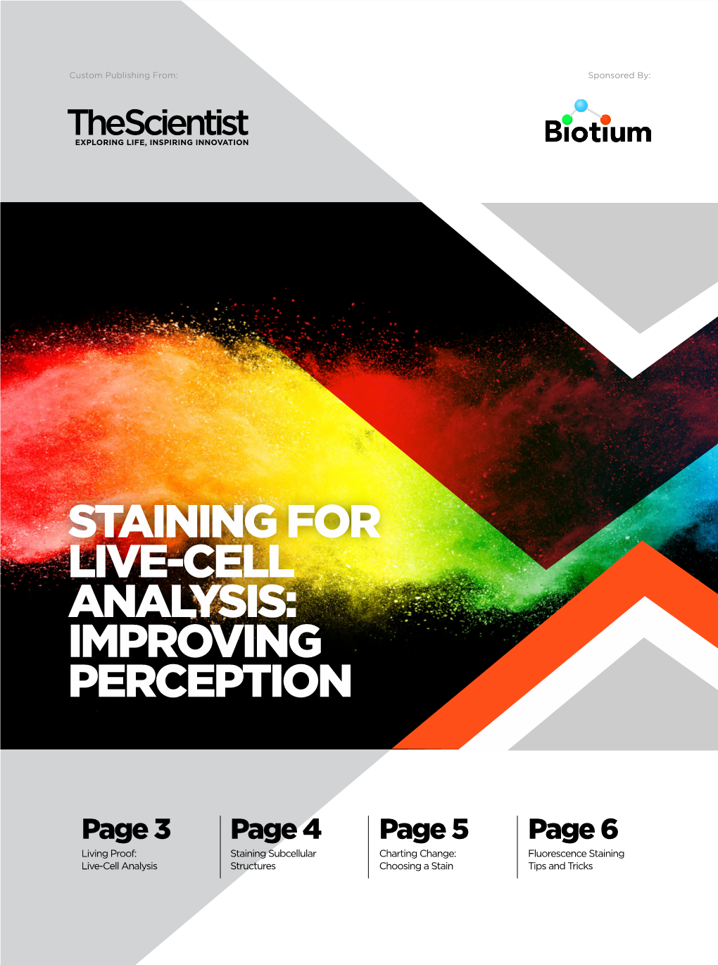 Staining for Live-Cell Analysis: Improving Perception