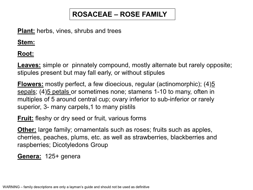 Rosaceae – Rose Family