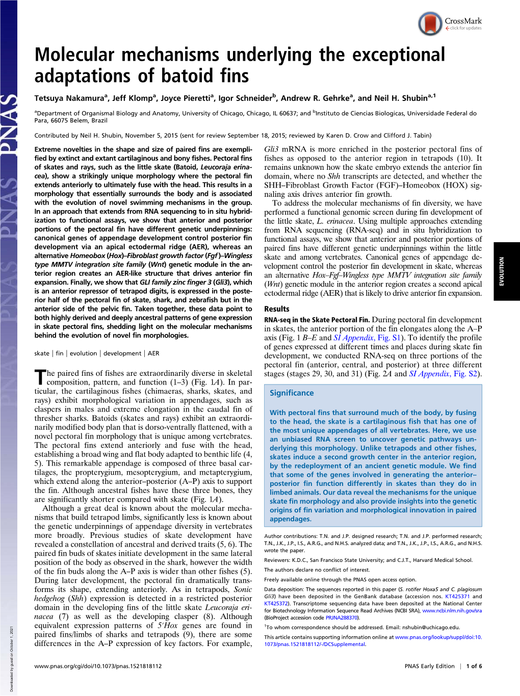 Molecular Mechanisms Underlying the Exceptional Adaptations of Batoid Fins