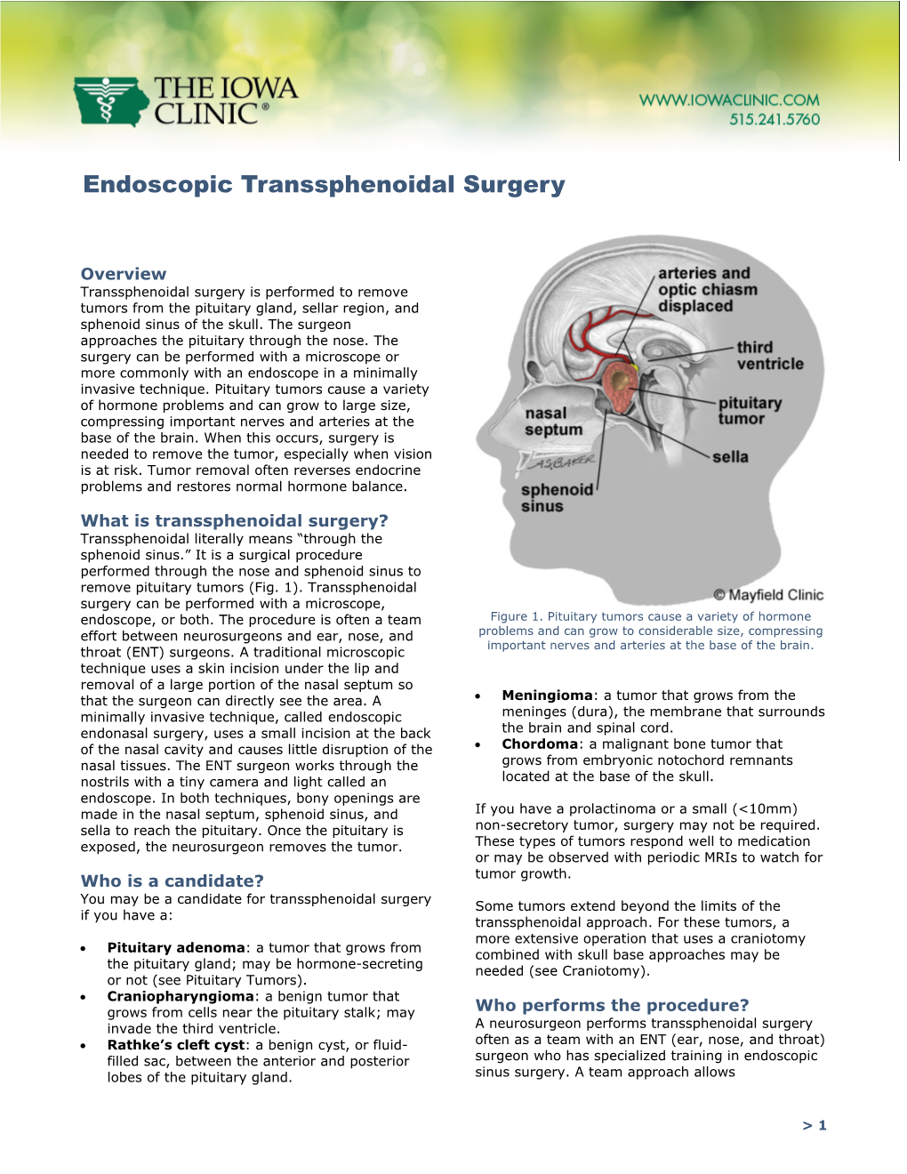 Endoscopic Transsphenoidal Surgery