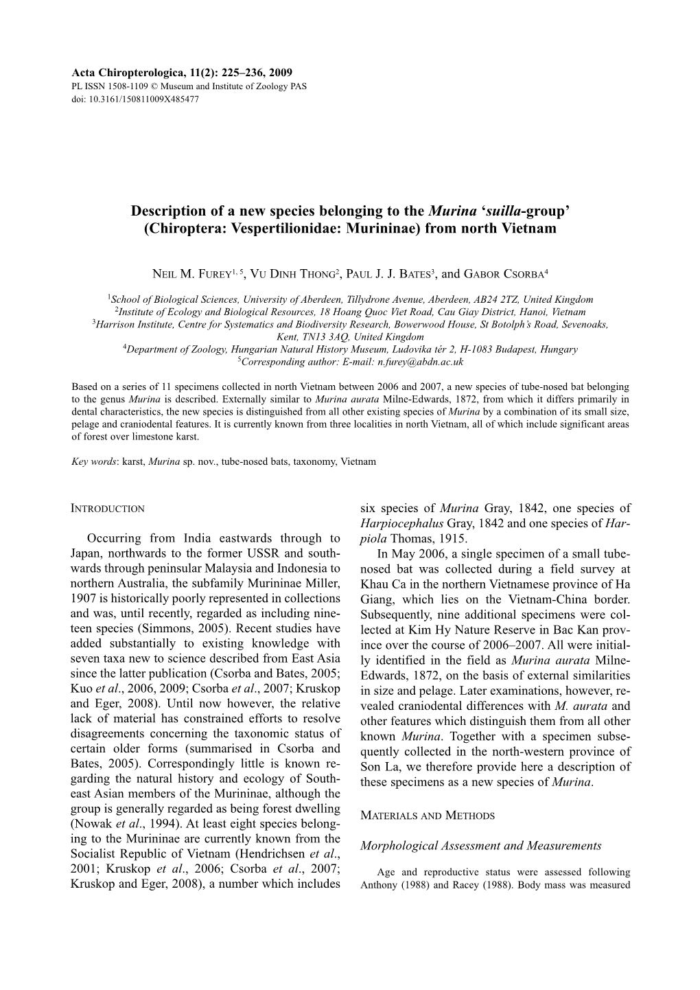 Description of a New Species Belonging to the Murina “Suilla-Group”